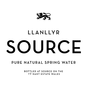 LLANLLYR SOURCE